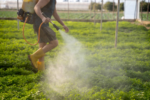 Best Pest Prevention Services  in Lawnton, PA