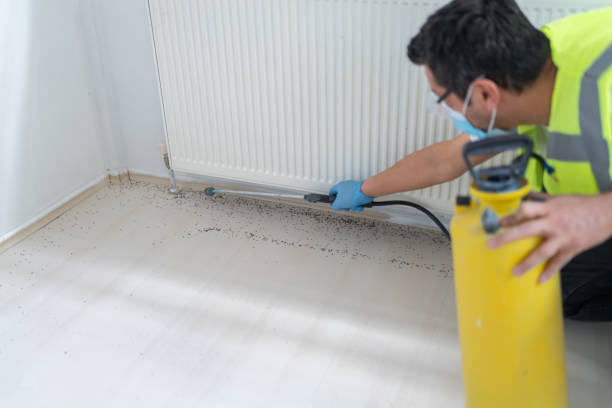 Best Flea Control Services  in Lawnton, PA
